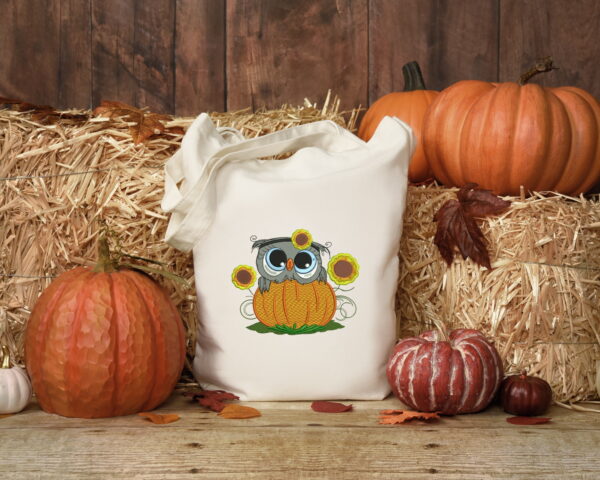 Pumpkin owl