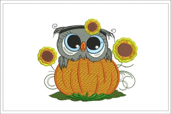 Pumpkin owl