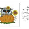 Pumpkin owl