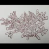 Coral embroidery design - sketch embroidery pattern - simple embroidery design 1