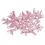 Coral Embroidery Design - Sketch Embroidery Pattern