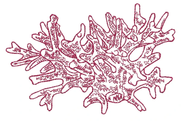 Coral embroidery design - sketch embroidery pattern - simple embroidery design
