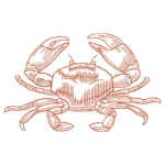 Crab Embroidery Design - Sketch Embroidery Pattern