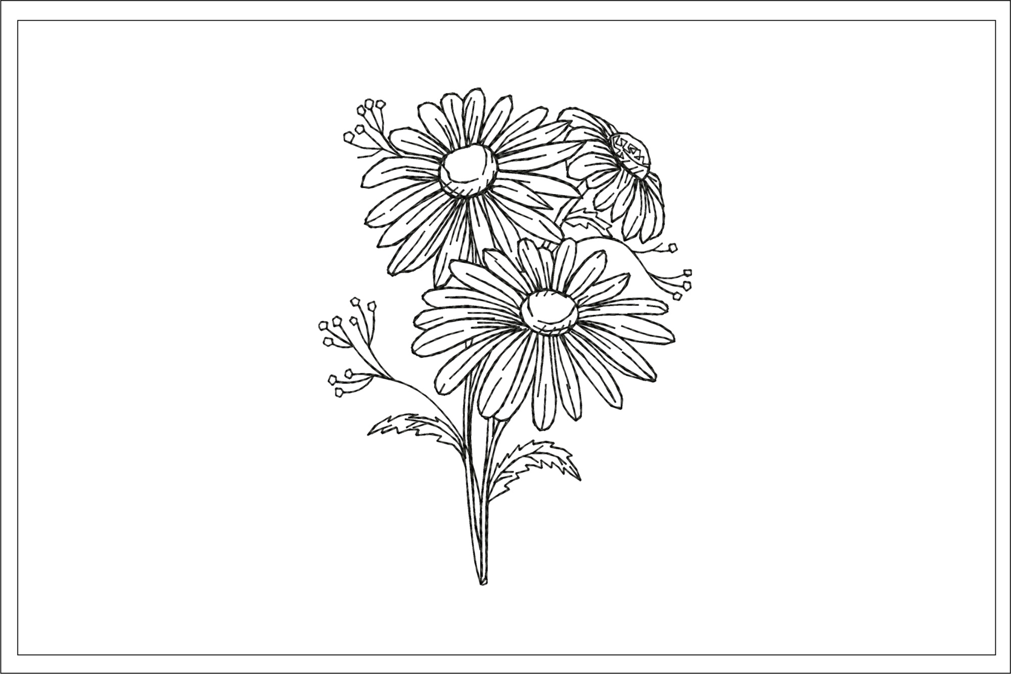 daisy-embroidery-design