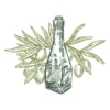 Olive oil embroidery design - olives embroidery - sketch embroidery pattern 1