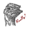 Ostrich embroidery design - sketch embroidery design - sarcastic embroidery design 1