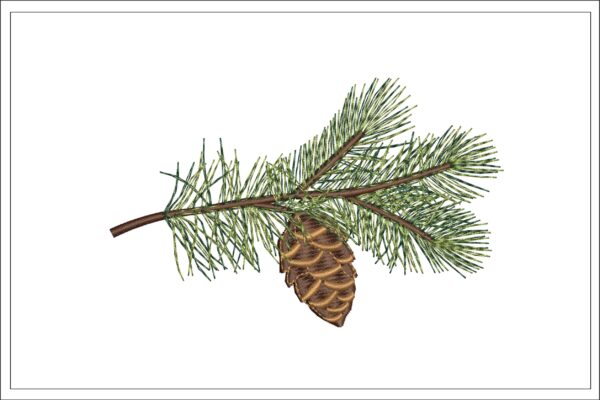 Pine branch embroidery design