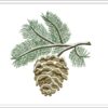 Pine cone winter embroidery design