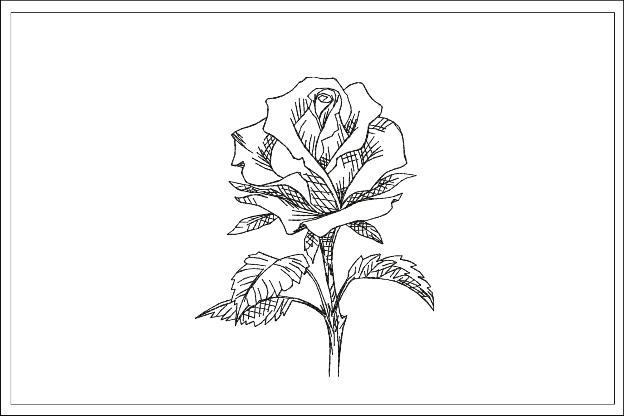 rose-sketch-embroidery-design-embroidery-escape