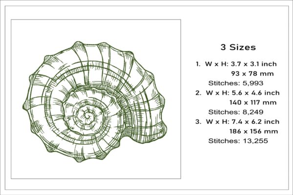 Shell sketch embroidery design