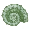 Shell embroidery design 1 - sea shell embroidery design - green shell embroidery 1