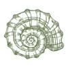 Shell sketch embroidery design 1 -shell embroidery - sketch embroidery pattern 1