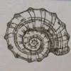 Shell sketch embroidery design 1 -shell embroidery - sketch embroidery pattern