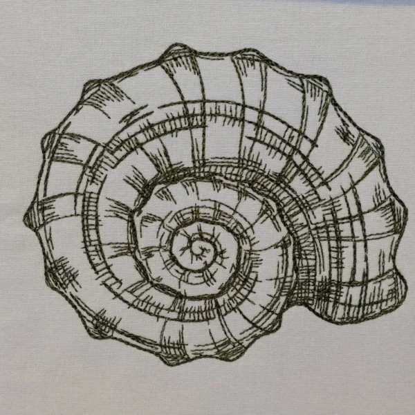 Shell sketch embroidery design 1 -shell embroidery - sketch embroidery pattern