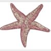 Starfish embroidery design