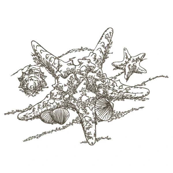 Starfish embroidery design - beach embroidery design - sea embroidery - sketch embroidery pattern 1