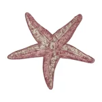 Starfish Embroidery Design - Sea Creature Embroidery Pattern