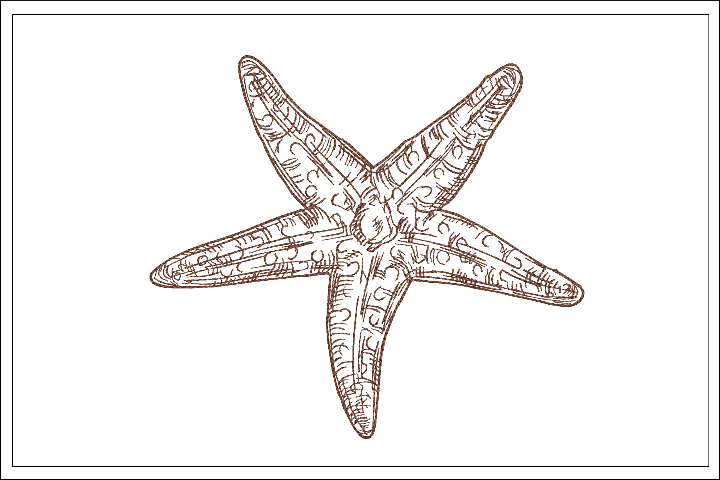 J Brown - Starfish Etching in Ink on Paper (#8/16) For Sale at 1stDibs | starfish  drawing realistic, brown starfish, lukisan tapak sulaiman
