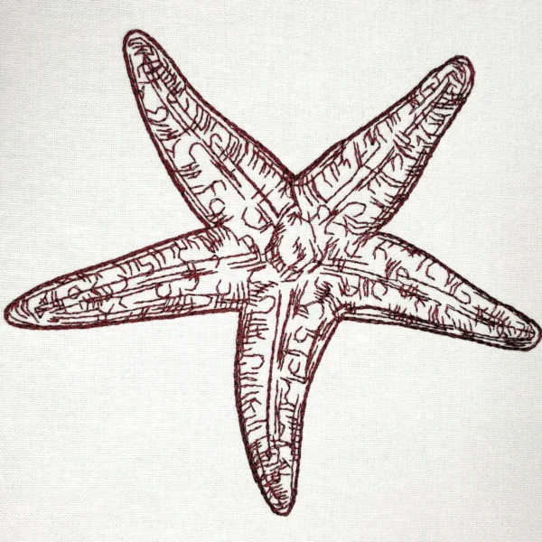 Starfish sketch embroidery design 2 - starfish embroidery pattern - sea creature embroidery
