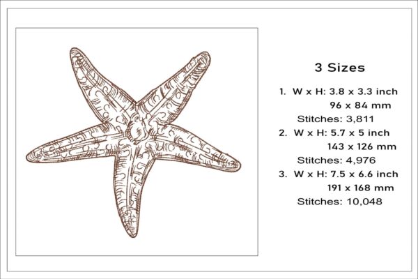 Starfish sketch embroidery design