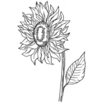 Sunflower Embroidery Design 3 - Sketch Embroidery