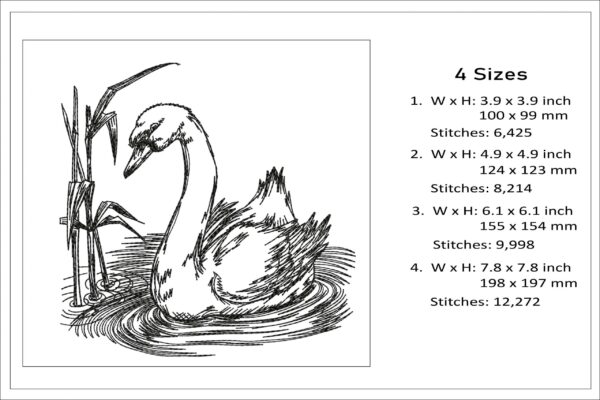 Swan sketch