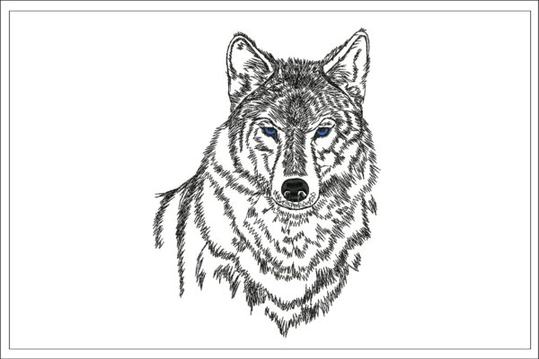 Wolf sketch embroidery