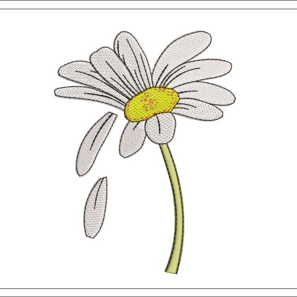 Daisy embroidery design