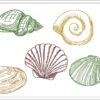 Mini shells embroidery design