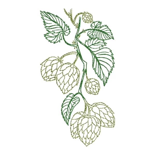 A twig of hops embroidery design - sketch embroidery pattern