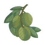 A Twig of Olives Embroidery Design