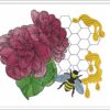 Peonies bee honey embroidery design