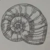 Colorful shell embroidery design 4 - shell sketch embroidery pattern