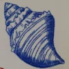 Colorful shell embroidery design 5 - shell sketch embroidery pattern