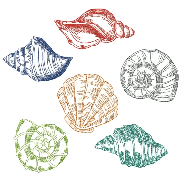 Colorful shells embroidery design - beach embroidery design - holiday embroidery pattern 1