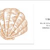 Colorful shells sketch embroidery design