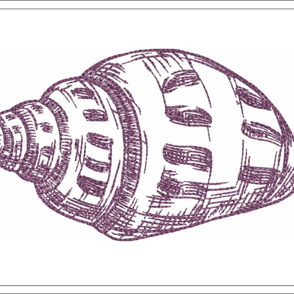 Shell sketch embroidery design