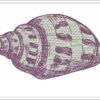 Shell embroidery design