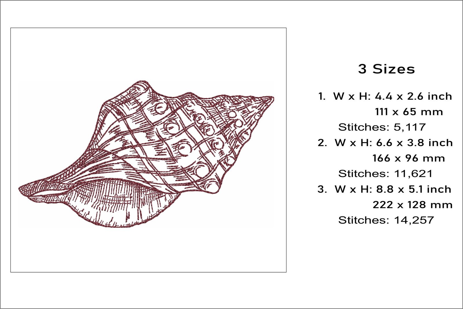 Shell Sketch Embroidery Design – Embroidery Escape