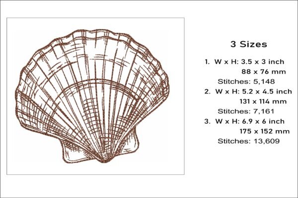 Shell sketch embroidery design