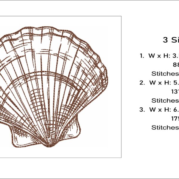 Shell sketch embroidery design