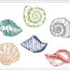 Colorful shells sketch embroidery design