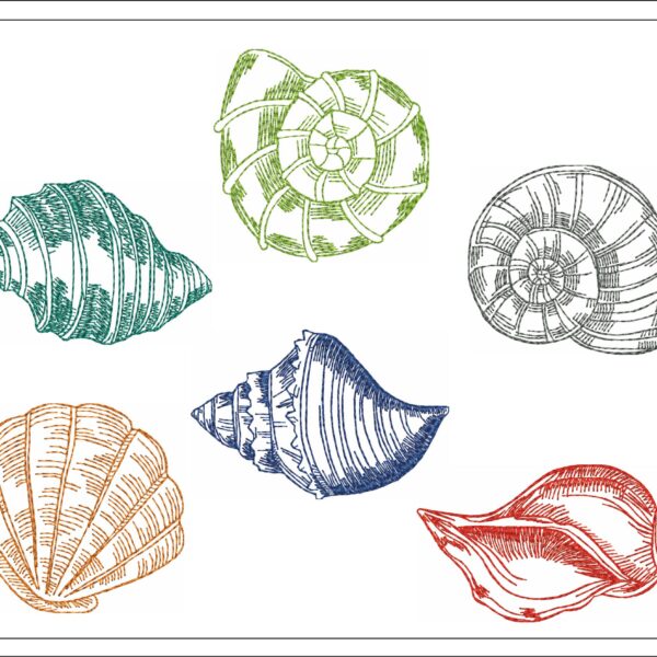 Colorful shells sketch embroidery design