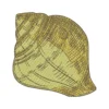 Shell embroidery design 3 - sea shell embroidery - beach embroidery pattern 1