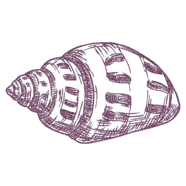Shell sketch embroidery design 2 - sea shell embroidery - sketch embroidery pattern 1