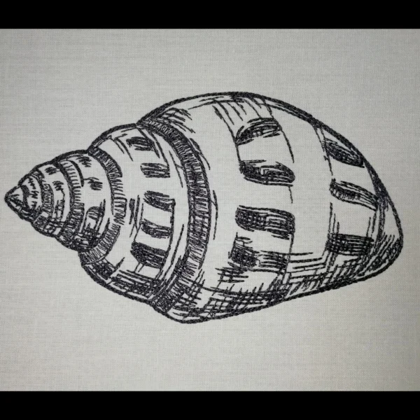 Shell sketch embroidery design 2 - sea shell embroidery - sketch embroidery pattern