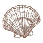 Shell Sketch Embroidery Design 6 - Sea Shell Pattern