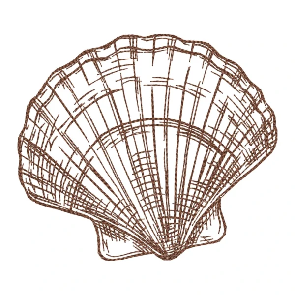 Shell sketch embroidery design 6 - sea shell embroidery - sketch embroidery pattern 1