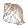 Shell sketch embroidery design - sea shell embroidery - sketch embroidery pattern 1