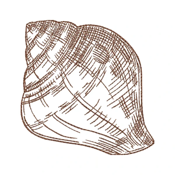 Shell sketch embroidery design - sea shell embroidery - sketch embroidery pattern 1